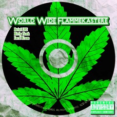 World Wide Flammekastere Feat. Dirty Funk & Lord Krom (Pro. DJ Idea)