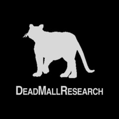 Mixtapes for Dead Mall Research