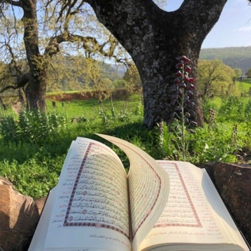 وَمَا مِنۡ إِلَـٰهٍ إِلَّاۤ إِلَـٰهࣱ وَ ٰ⁠حِدࣱۚ | من سورة المائدة