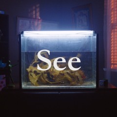 See