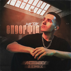 YAKTAK - Ендорфін (Andrew_Boy remix) |chillout remix|