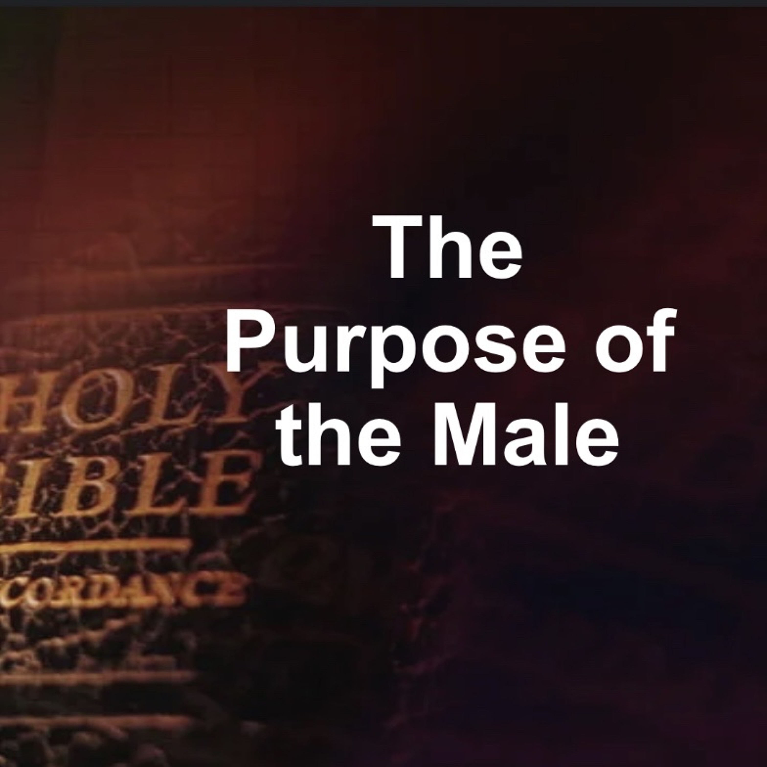 FLC 01/11/26 To The Unmarried The Purpose of the Male Part 1 episode artwork