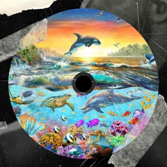 Zeth B - Paradise [FREEDOWNLOAD LINK IN THE DESCRIPTION]