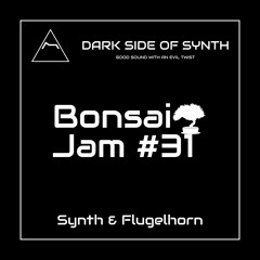 Synth & Flugelhorn - Bonsai Jam 31