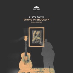 TR005 - Steve Gunn "Spring In Brooklyn 1"