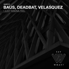 PREMIERE: BAUS, Velasquez - I Just Wanna Feel [Say What?]