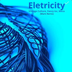 Vintage Culture, Fancy inc, Meca - Electricity ( Mark Remix )