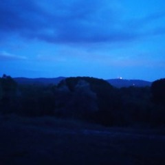 for the blue hour