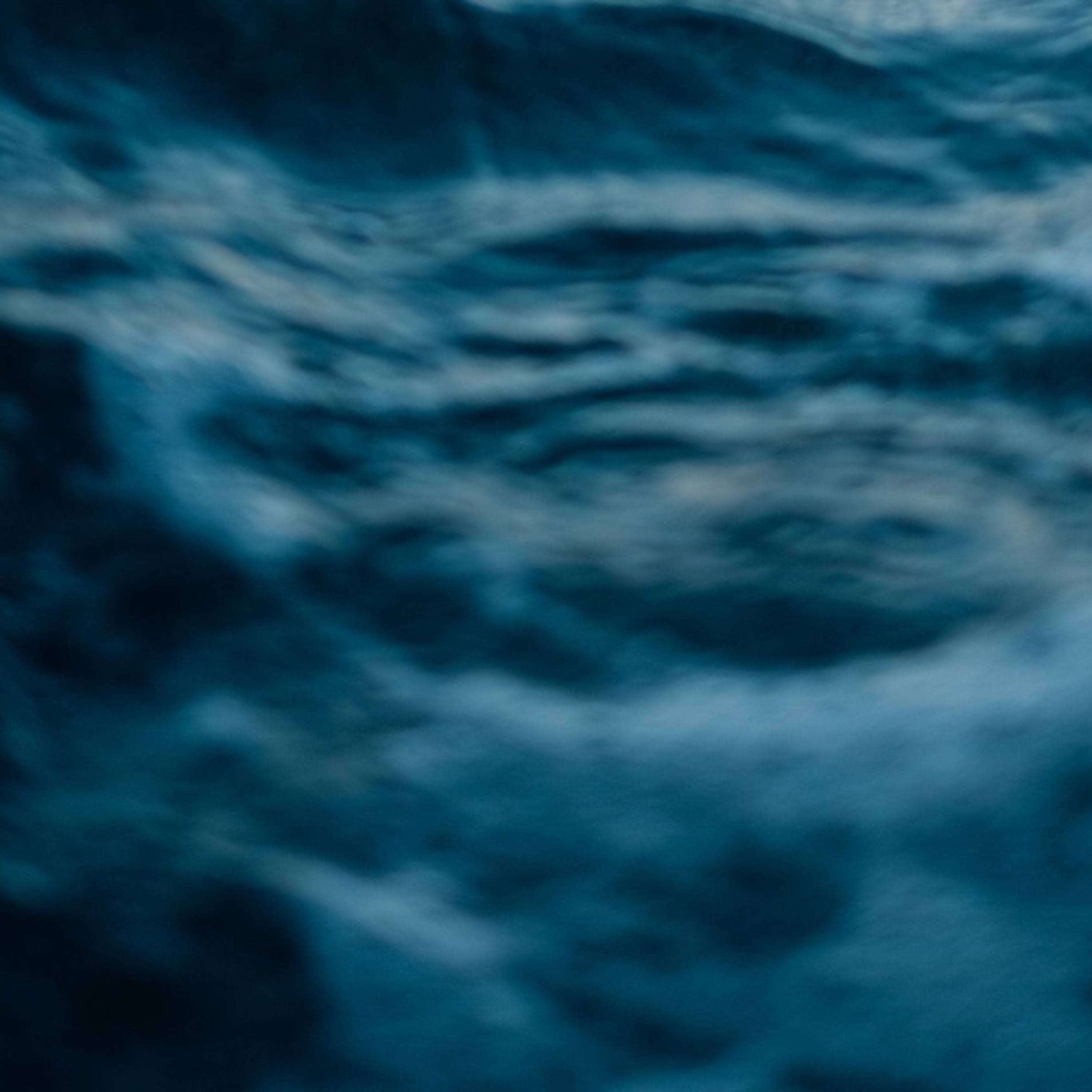 I've got joy: Complete vreugde [Marcel van Noort]