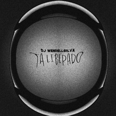 Dj WendellSiilva - Ta Liberado ( Secretas Da Megan )