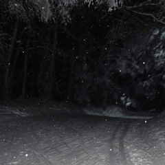 cold ft. starlight (prod. sogroovy)