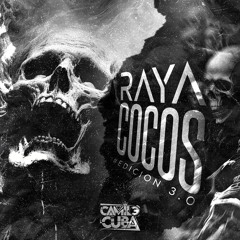 RAYA COCOS 3.0