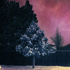 Cop this high till the day I die - 5:29:20, 11.50 PM