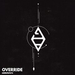 Voxelware - Override