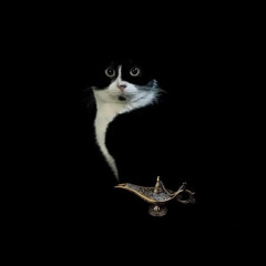 Danse Sous La Pluie (My cat is a genius Remix) Feat.Georgette