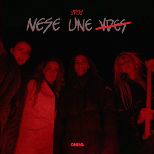 2po2 - Nese une vdes