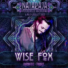 Wisefox - Live at Nataraja Psychedelic Gathering 2023