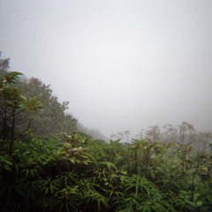 Cocibolca