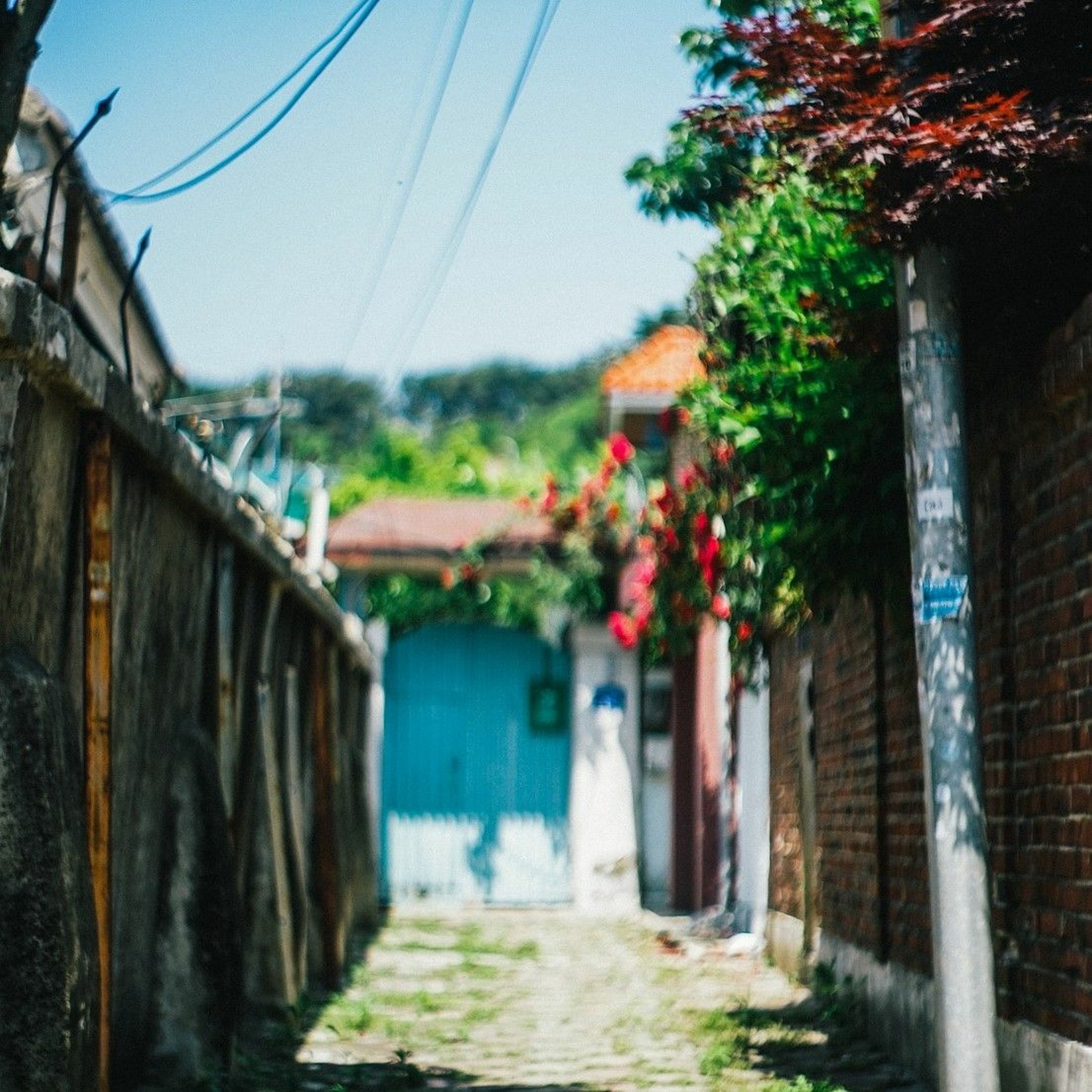 In the alley