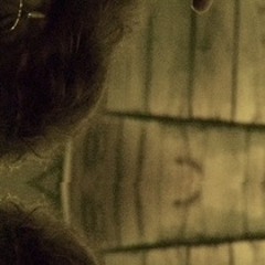 new kind of bug (V4)