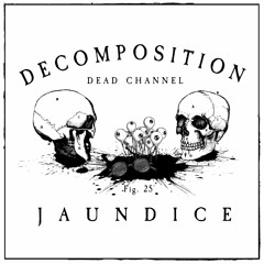 Decomposition - Fig. 25: Jaundice