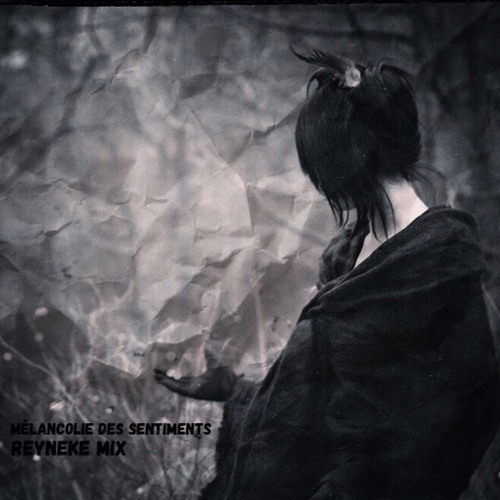 Melancolie Des Sentiments By Fox Reyneke