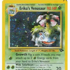 Erika`s Venusaur - Drum and Bass