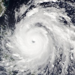 Typhoon