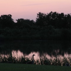 Fantasy (feat. The Weeknd & Central Cee)