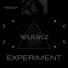 Descargar video: EXPERIMENT (THANKS FOR 800 FREE DOWNLOAD)