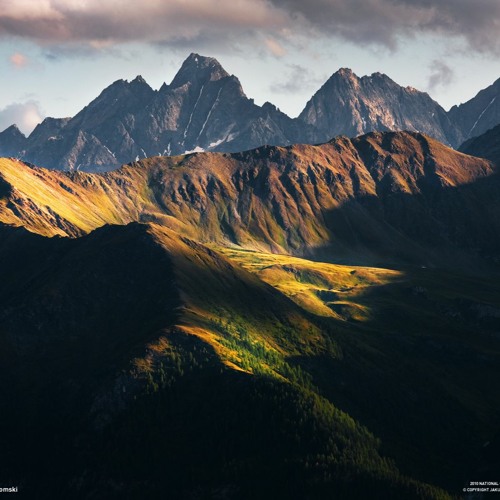 Addicted To The Pain