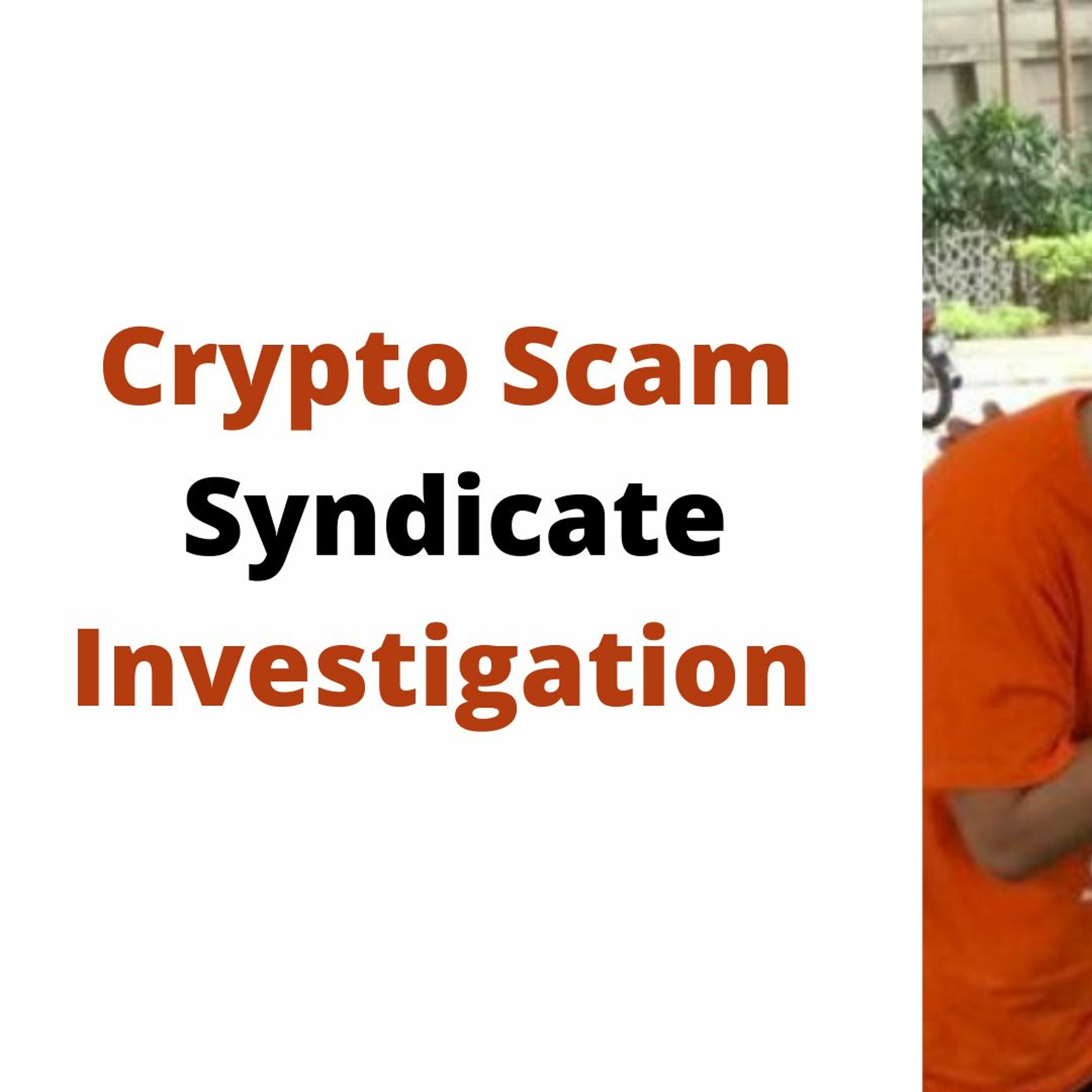 Crypto Scam Syndicate - $cubic $dsf $bliss $mcp