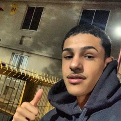 VOU COLOCANDO NO SEU BUCETÃO - MC´S LUSTOSA E THEUZYN ( DJ LEAL ORIGINAL ) 2K24