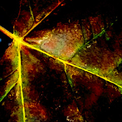Hand-Held Lanterns in the Darkness, Together We Wander