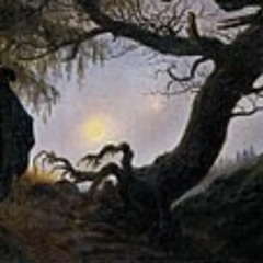 Mysterious Forest