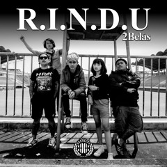 R.I.N.D.U