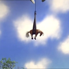 The Flight of Pegasus