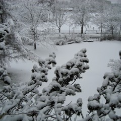 Have Yourself A Merry Little Christmas