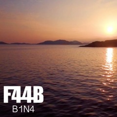 F44B - B1N4