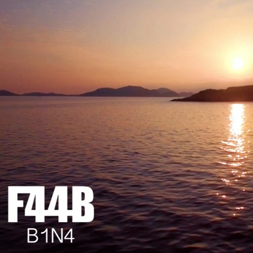 F44B - B1N4
