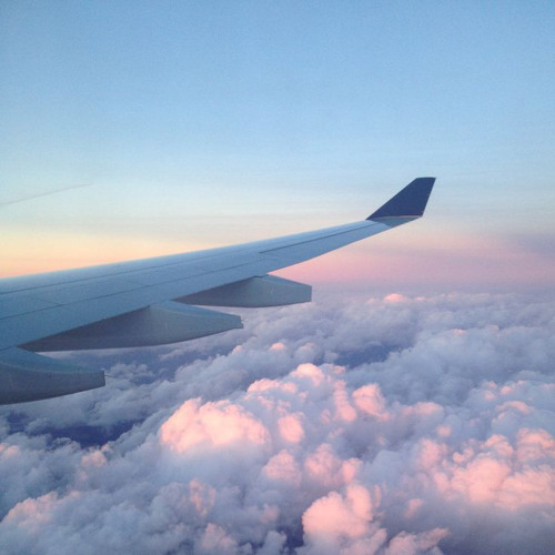 TOO HIGH🛩🛩🛩