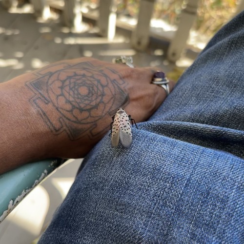 tartarus throne room