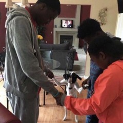 chrome heart raybans prod 19thou