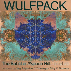 TONELAB - Spook Hill (Thankyou City Remix)