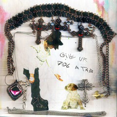 GIVE UR DOG A TAB (+PAULIE)