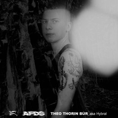 Theo Thorin Búr - KLEM x AFDS