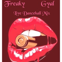 Freaky Gyal Live Dancehall Mix