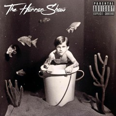 THE HORROR SHOW (VIVIDOR NOISE ft. gangload)