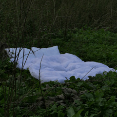 SHAN - rainwater [MK PREMIERE]