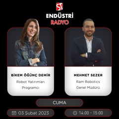 Mehmet Sezer - Robot Yatırımları
